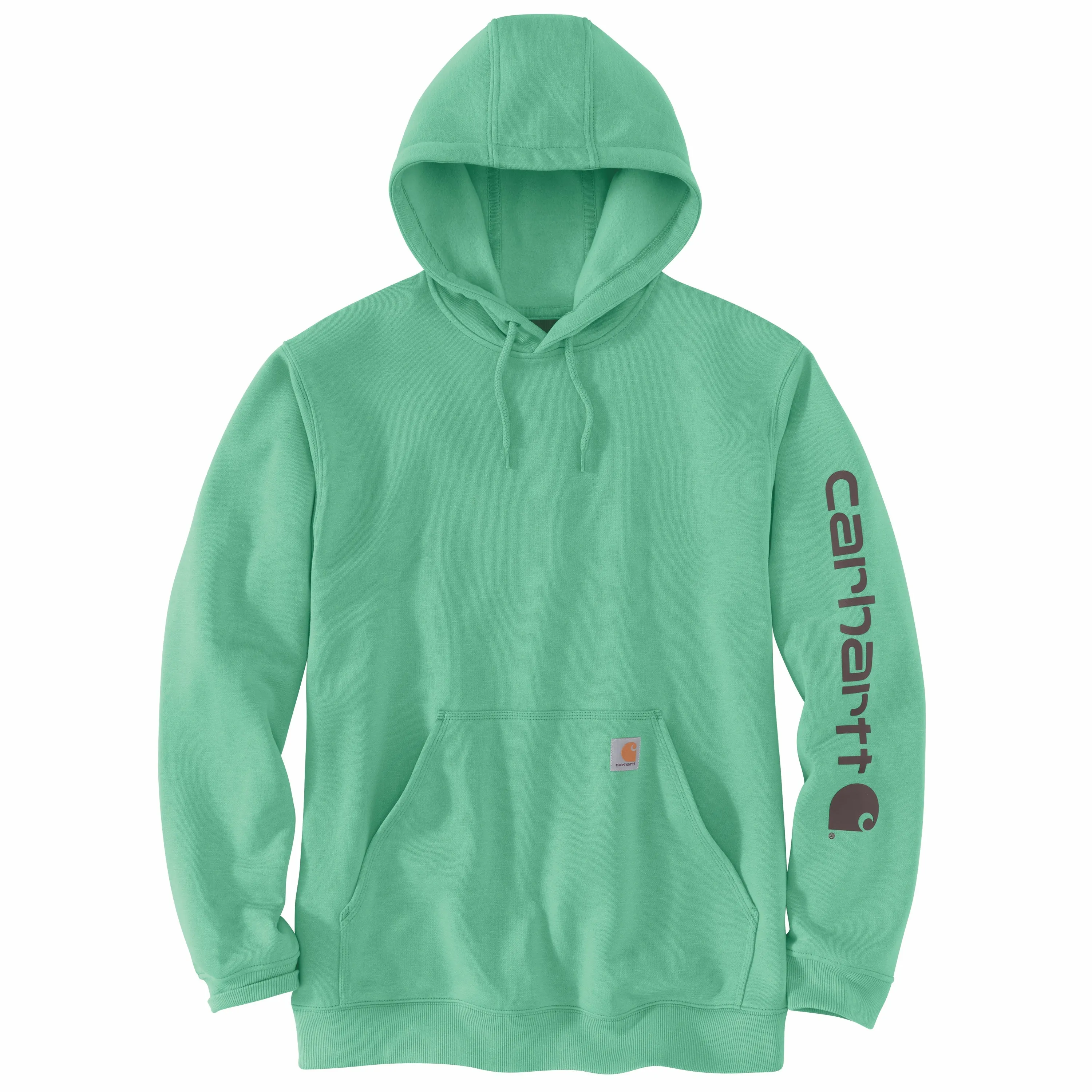 Carhartt Men's Signature Logo Hooded Pullover Sweatshirt_Sea Green Space Dye