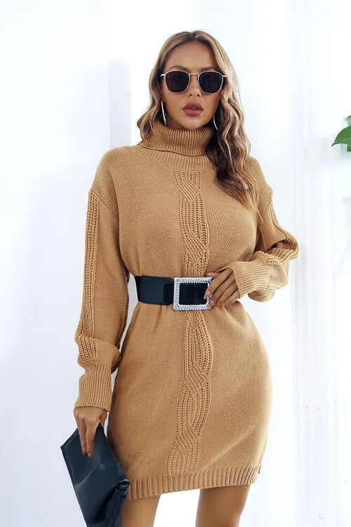 Nelly in New York Turtleneck Braided Sweater Dress | 3 Colors