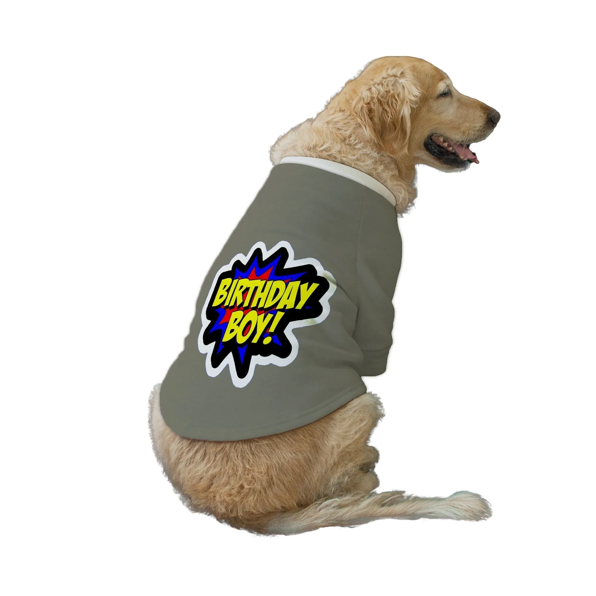 "Birthday Boy" Printed Dog Technical Jacket